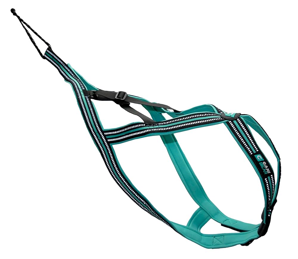 Cani gear Olympia